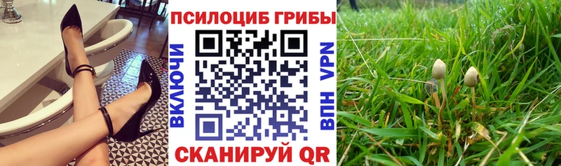 мега как зайти  купить наркоту  Красноуральск  Псилоцибиновые грибы ЛСД 